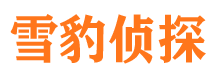 石龙外遇出轨调查取证